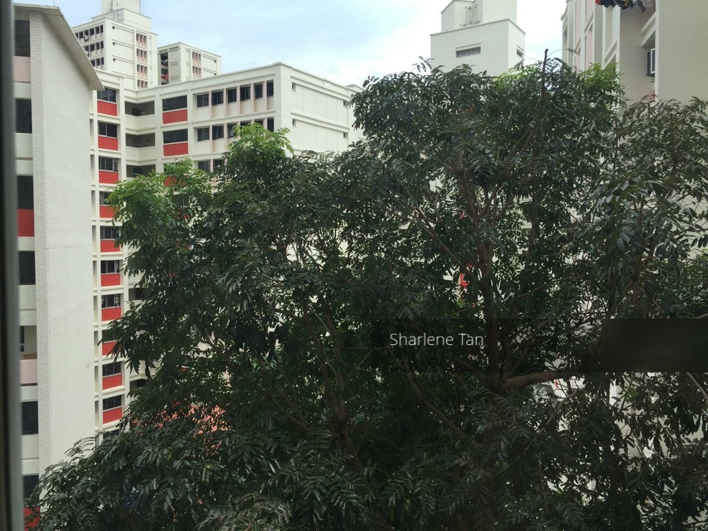 Blk 48 Lorong 5 Toa Payoh (Toa Payoh), HDB 5 Rooms #125749322